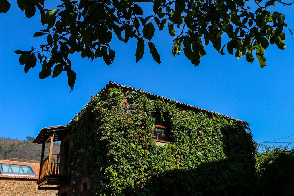 Casa De Baixo - Nature Hotel Alvoco das Várzeas 部屋 写真